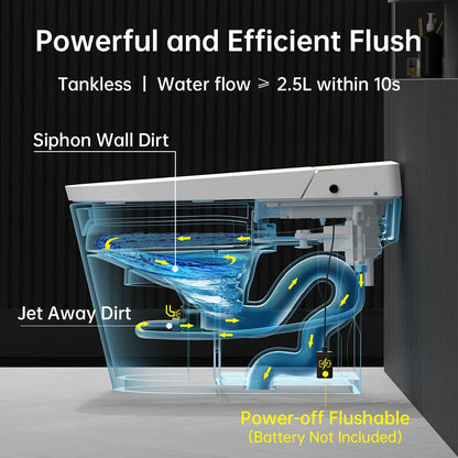 Smart Bidet Toilet, Auto Open/Close Lid, One-Piece Toilet Bidet Thankless, LED Display Elongated Toilet G20