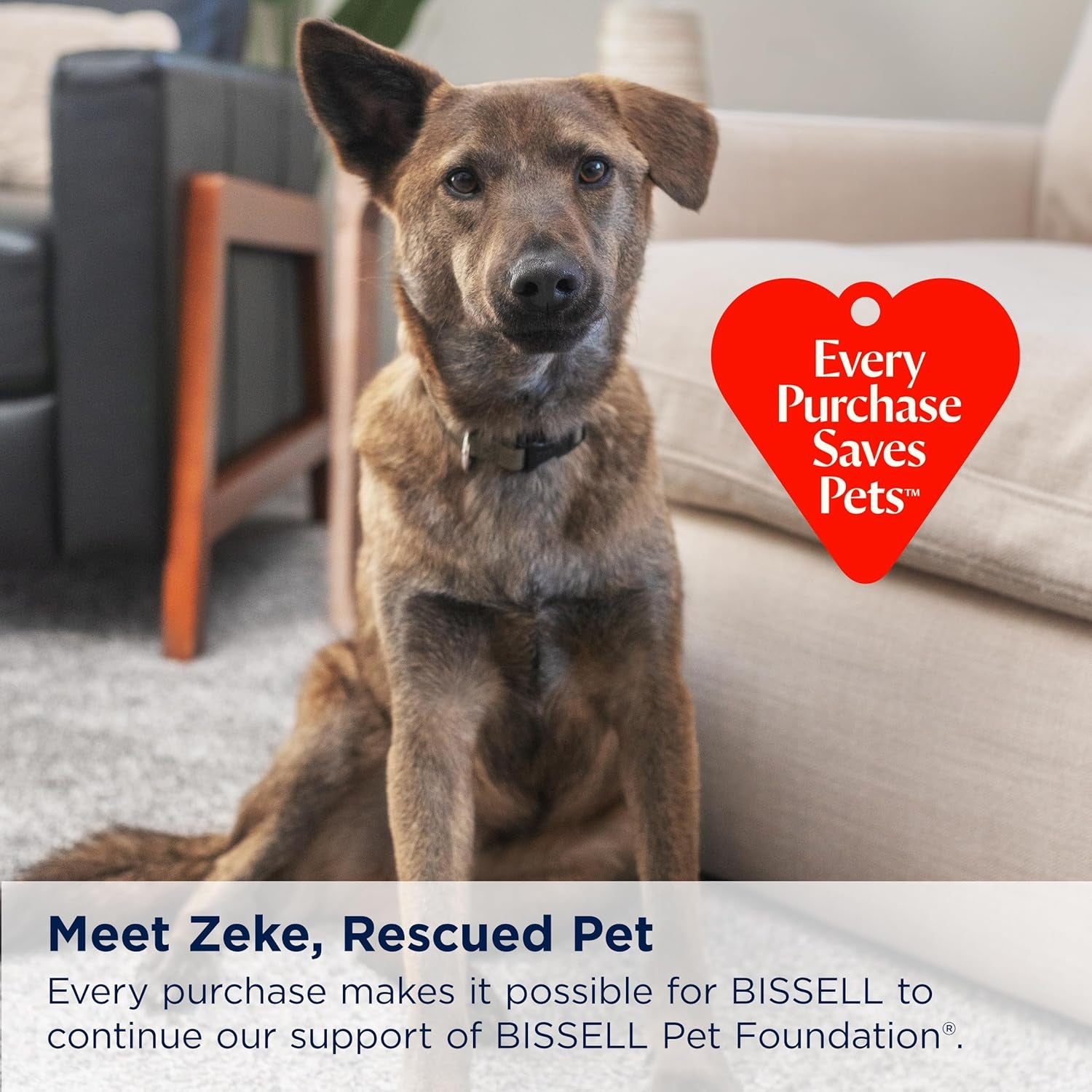 ® Little Green® Max Pet Smartmix Portable Carpet and Upholstery Deep Cleaner, Car/Auto Detailer, with Smartmix Technology, Self-Cleaning Tough Stain Tool and Pet Hair Removal Tool, 38572