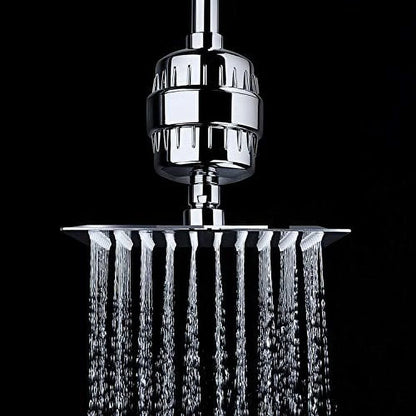 High Output Vitamin C Shower Filter Chrome (SF100)