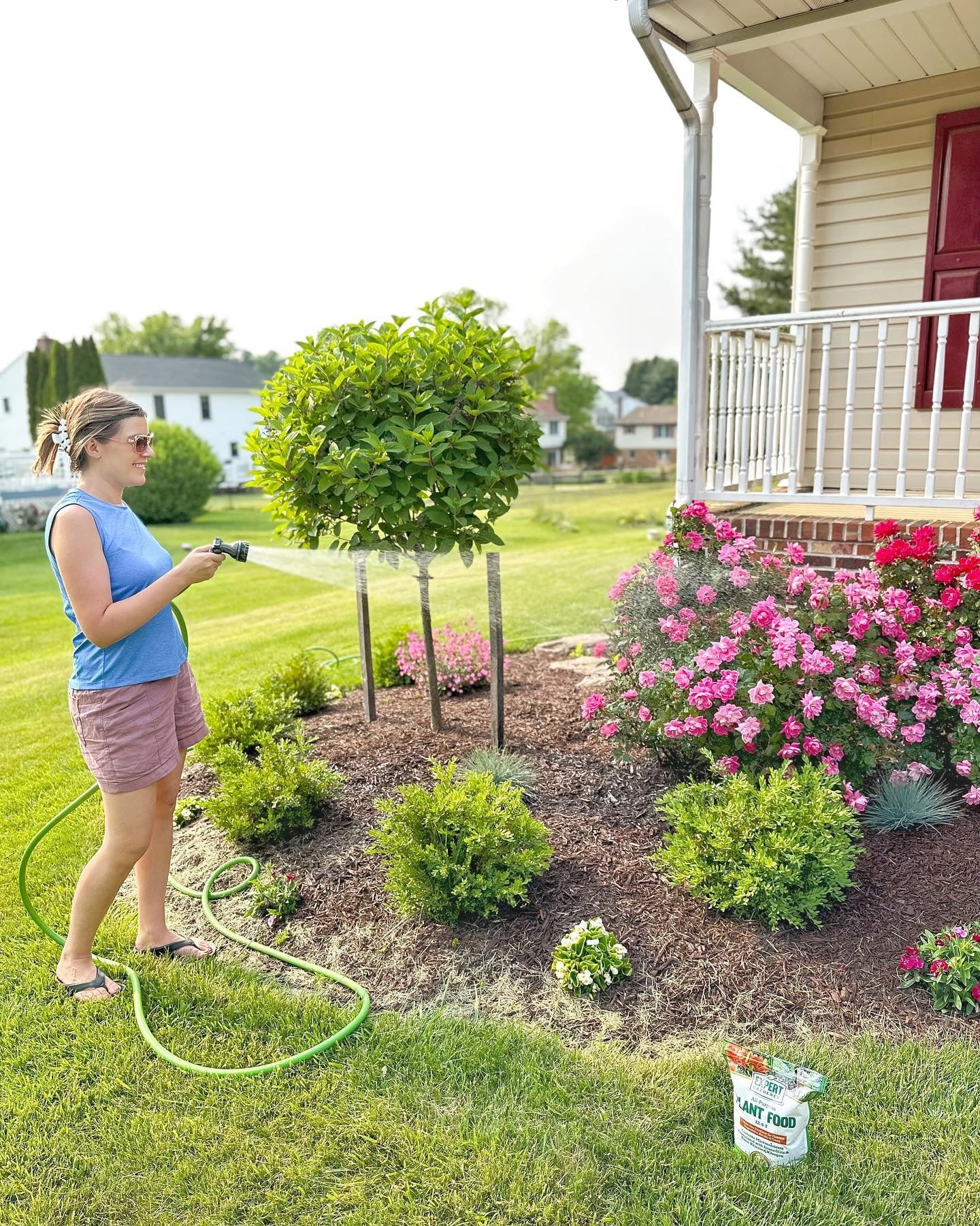 (10 Pack)  5/8-Inch X 50-Foot Light Duty Garden Hose