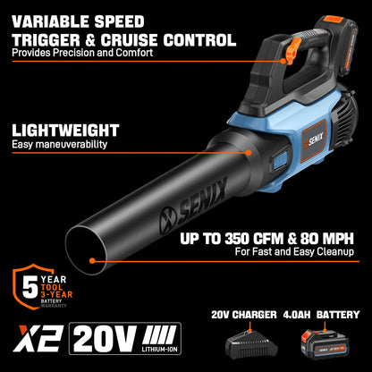 20V 2-Tool Cordless Combo Kit, 10-Inch String Trimmer & Variable Speed Leaf Blower (One 4.0Ah Battery and Charger Included) S2K2B1-03