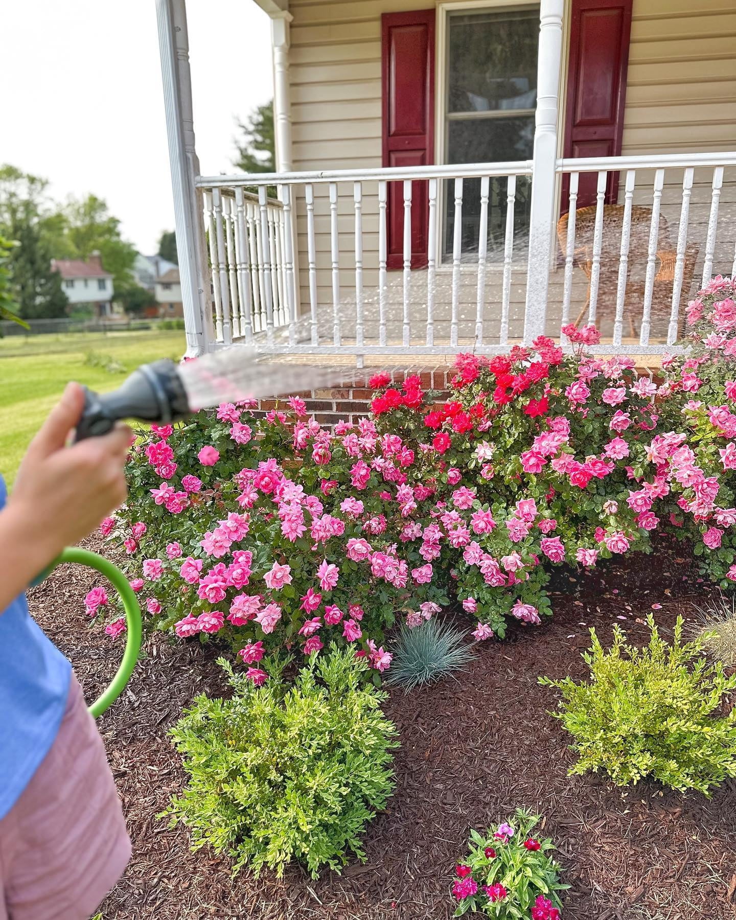 (10 Pack)  5/8-Inch X 50-Foot Light Duty Garden Hose