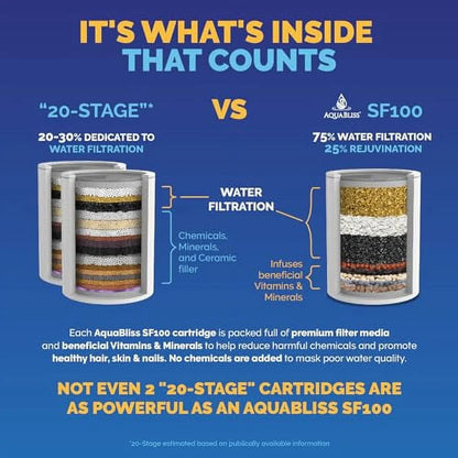 High Output Vitamin C Shower Filter Chrome (SF100)