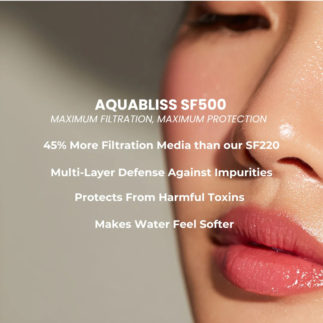 SF500 Heavy Duty Shower Filter Oil Rubbed Bronze (SF500-ORB)