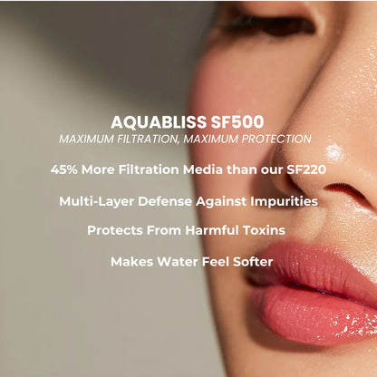 SF500 Heavy Duty Shower Filter Oil Rubbed Bronze (SF500-ORB)